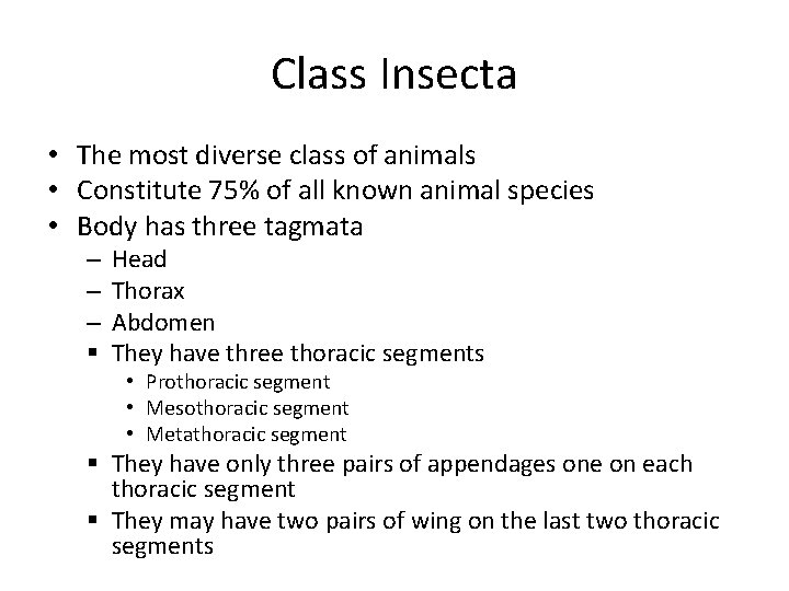 Class Insecta • The most diverse class of animals • Constitute 75% of all