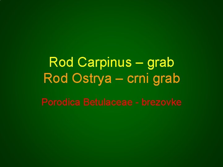 Rod Carpinus – grab Rod Ostrya – crni grab Porodica Betulaceae - brezovke 