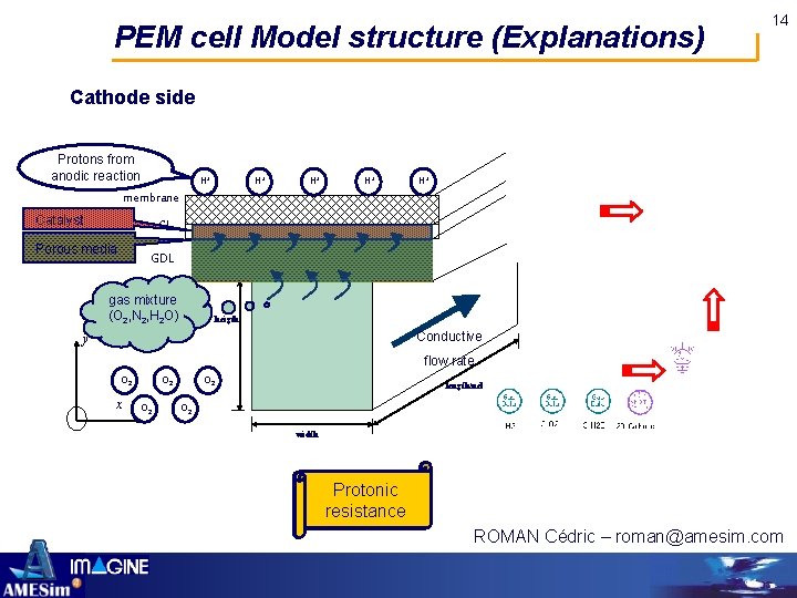 PEM cell Model structure (Explanations) 14 Cathode side Protons from anodic reaction H+ H+