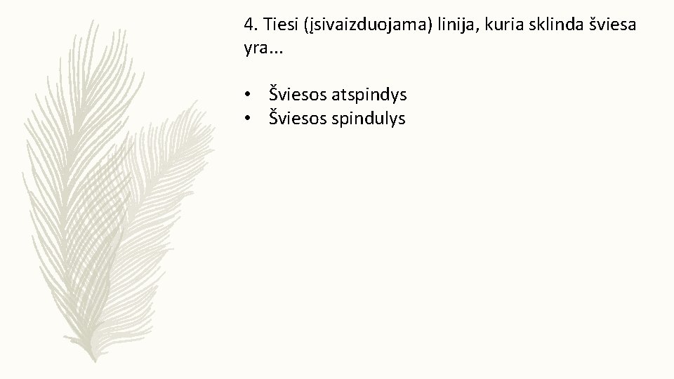 4. Tiesi (įsivaizduojama) linija, kuria sklinda šviesa yra. . . • Šviesos atspindys •