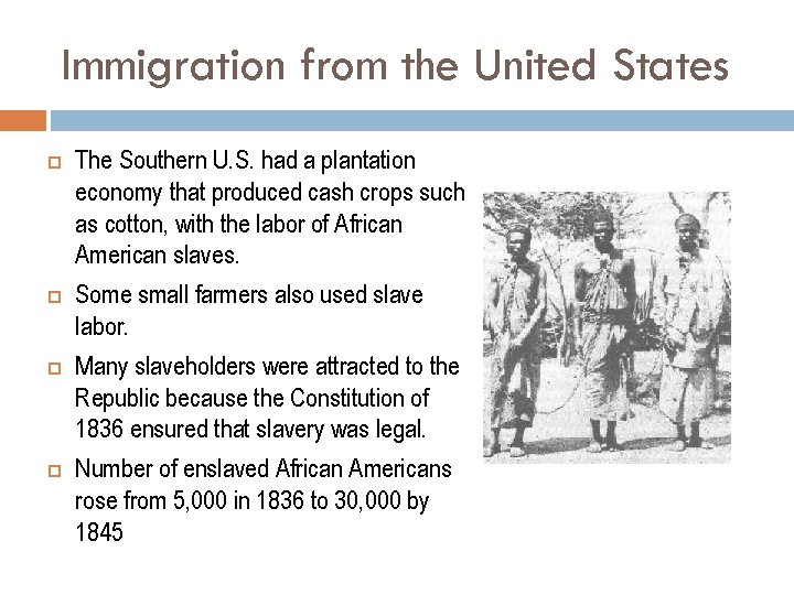 Immigration from the United States The Southern U. S. had a plantation economy that