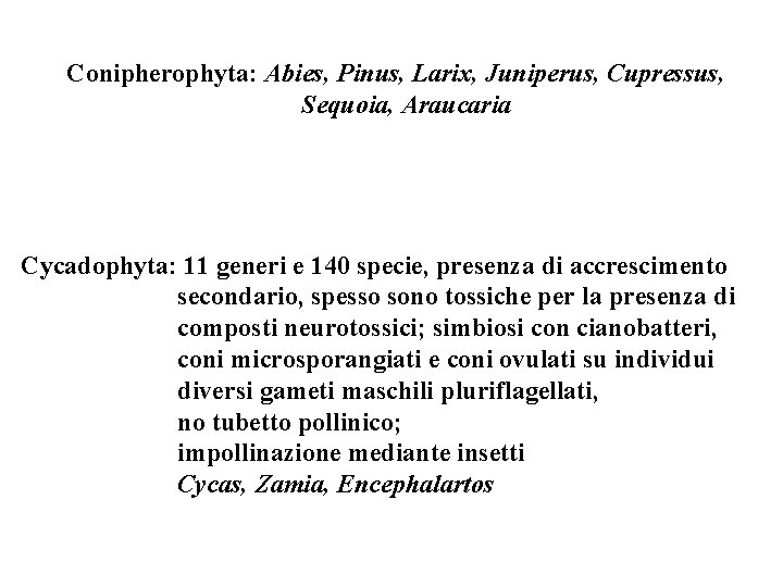 Conipherophyta: Abies, Pinus, Larix, Juniperus, Cupressus, Sequoia, Araucaria Cycadophyta: 11 generi e 140 specie,
