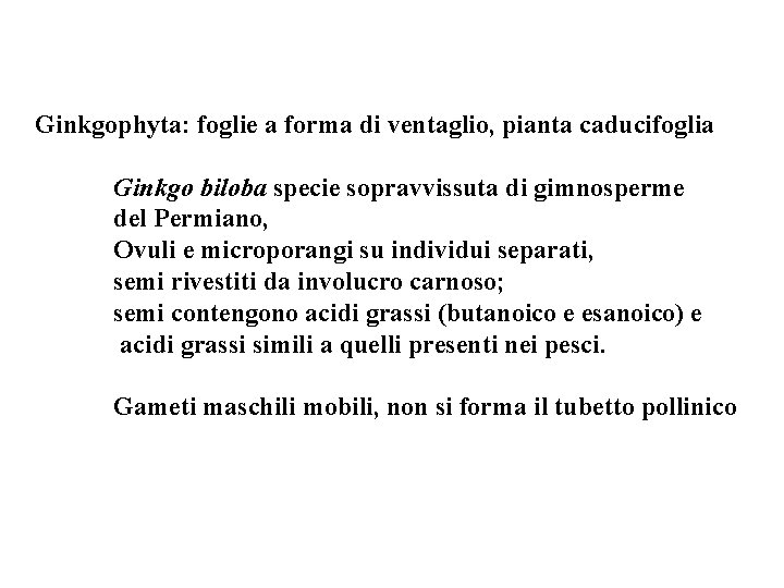 Ginkgophyta: foglie a forma di ventaglio, pianta caducifoglia Ginkgo biloba specie sopravvissuta di gimnosperme