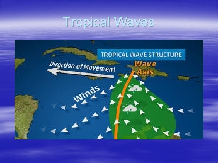 Tropical Waves 