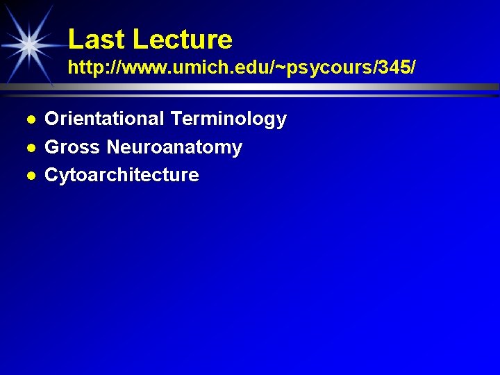 Last Lecture http: //www. umich. edu/~psycours/345/ Orientational Terminology Gross Neuroanatomy Cytoarchitecture 