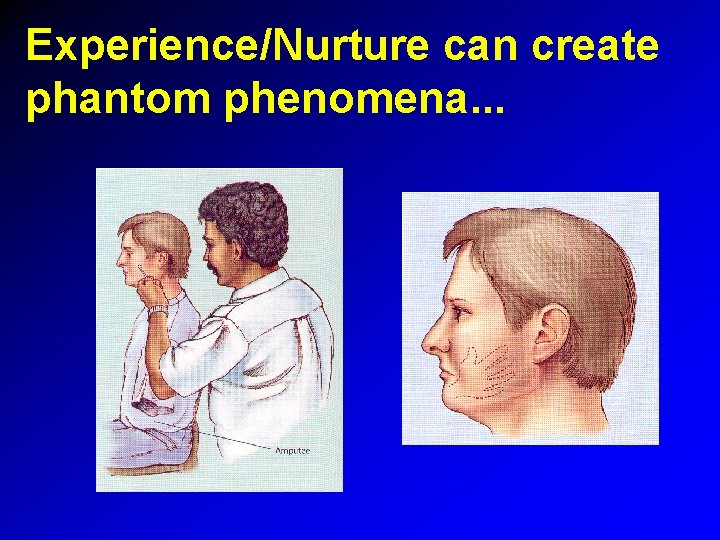Experience/Nurture can create phantom phenomena. . . 