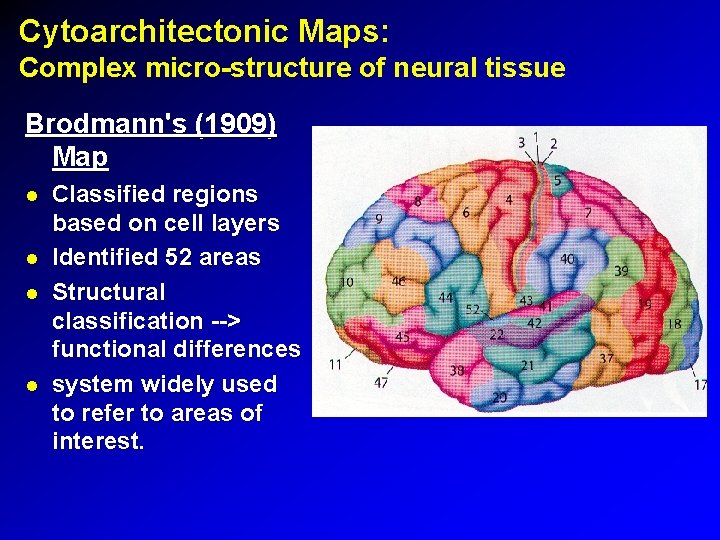 Cytoarchitectonic Maps: Complex micro-structure of neural tissue Brodmann's (1909) Map Classified regions based on