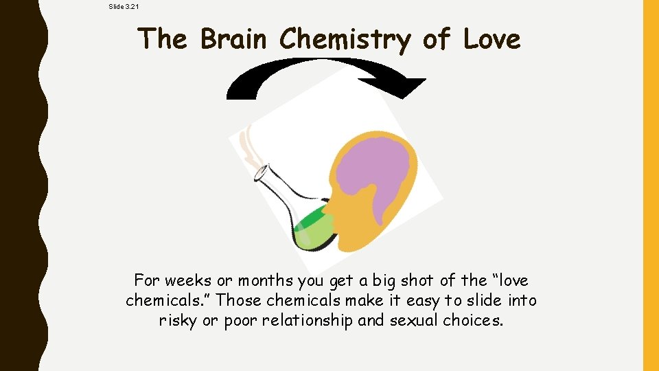 Slide 3. 21 The Brain Chemistry of Love For weeks or months you get