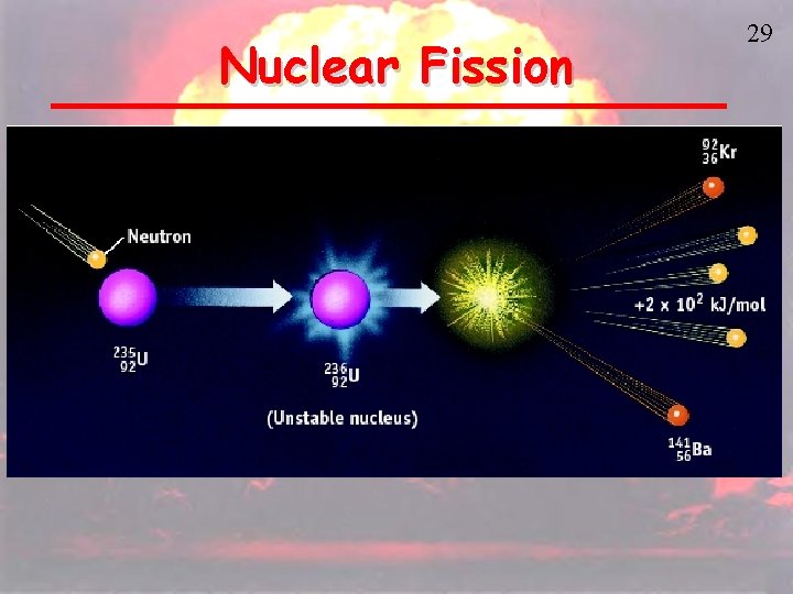 Nuclear Fission 29 