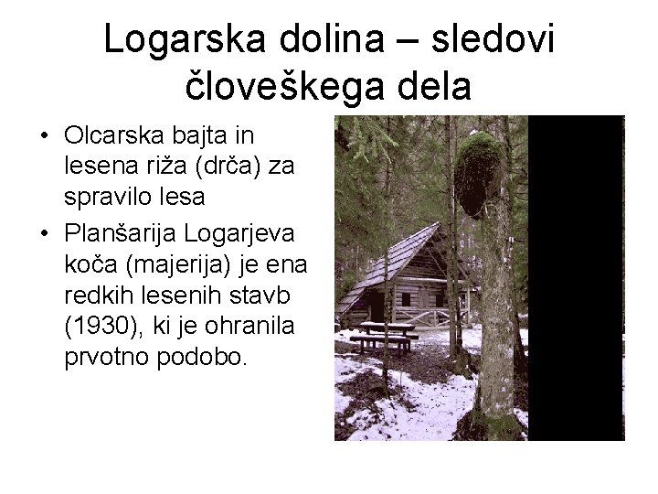 Logarska dolina – sledovi človeškega dela • Olcarska bajta in lesena riža (drča) za