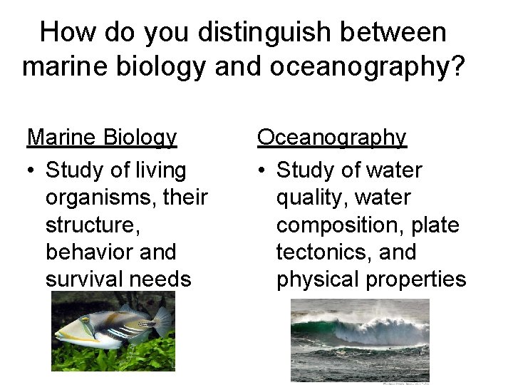 How do you distinguish between marine biology and oceanography? Marine Biology • Study of