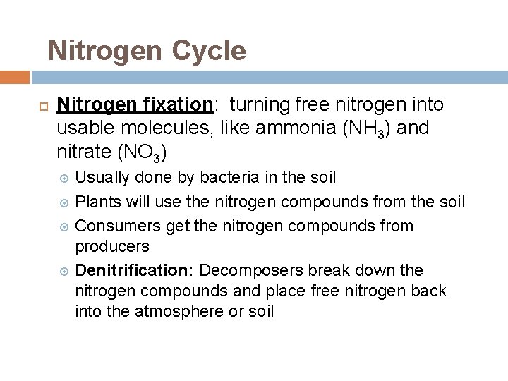 Nitrogen Cycle Nitrogen fixation: turning free nitrogen into usable molecules, like ammonia (NH 3)