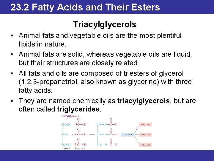 23. 2 Fatty Acids and Their Esters Triacylglycerols • Animal fats and vegetable oils