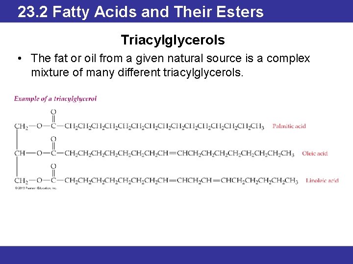 23. 2 Fatty Acids and Their Esters Triacylglycerols • The fat or oil from