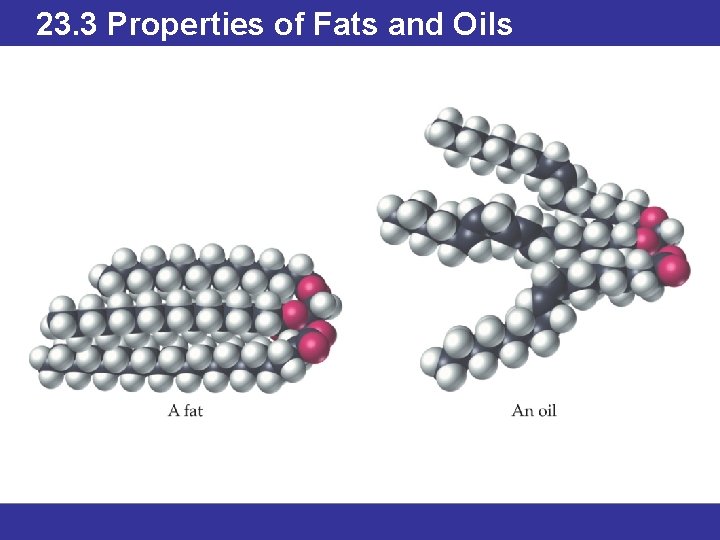 23. 3 Properties of Fats and Oils © 2013 Pearson Education, Inc. 