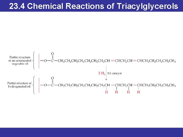 23. 4 Chemical Reactions of Triacylglycerols © 2013 Pearson Education, Inc. 