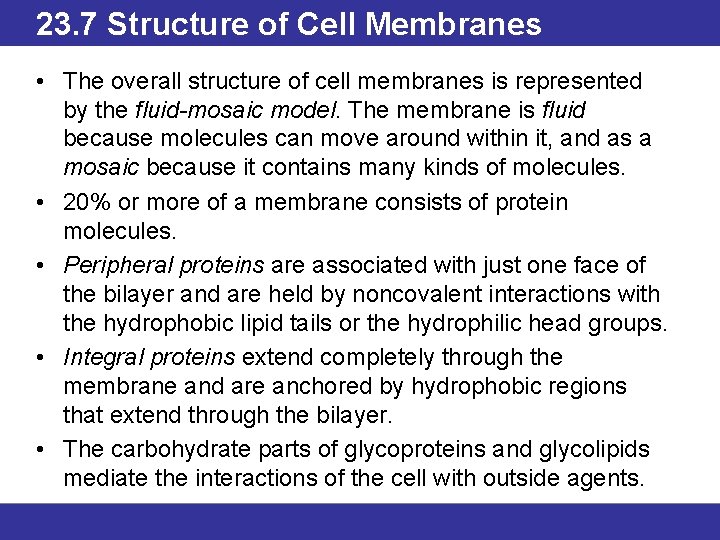 23. 7 Structure of Cell Membranes • The overall structure of cell membranes is