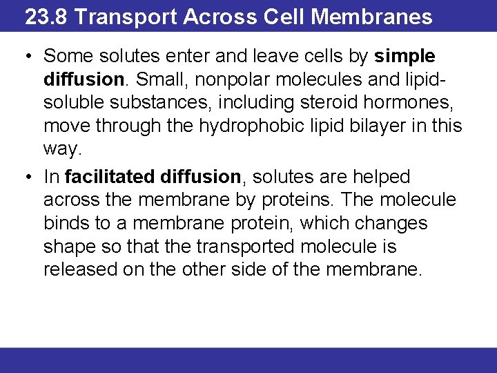 23. 8 Transport Across Cell Membranes • Some solutes enter and leave cells by