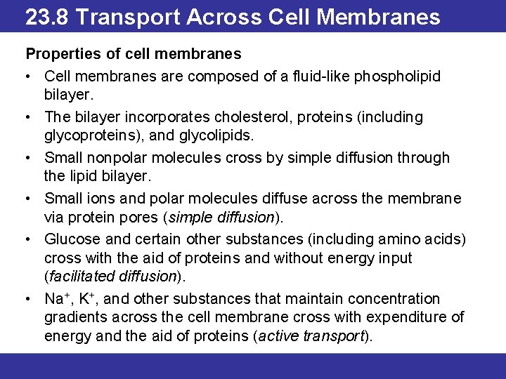 23. 8 Transport Across Cell Membranes Properties of cell membranes • Cell membranes are