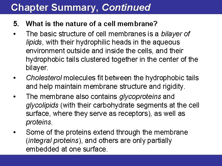 Chapter Summary, Continued 5. What is the nature of a cell membrane? • The
