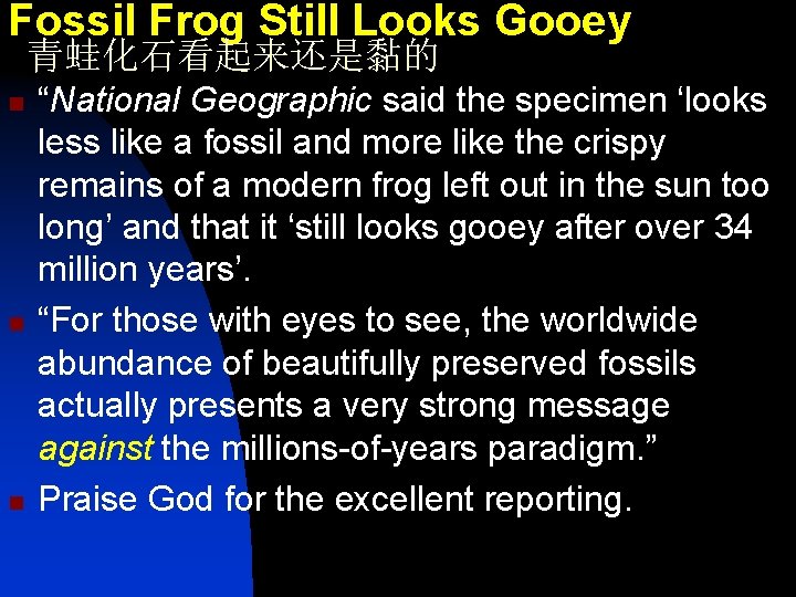 Fossil Frog Still Looks Gooey 青蛙化石看起来还是黏的 n n n “National Geographic said the specimen