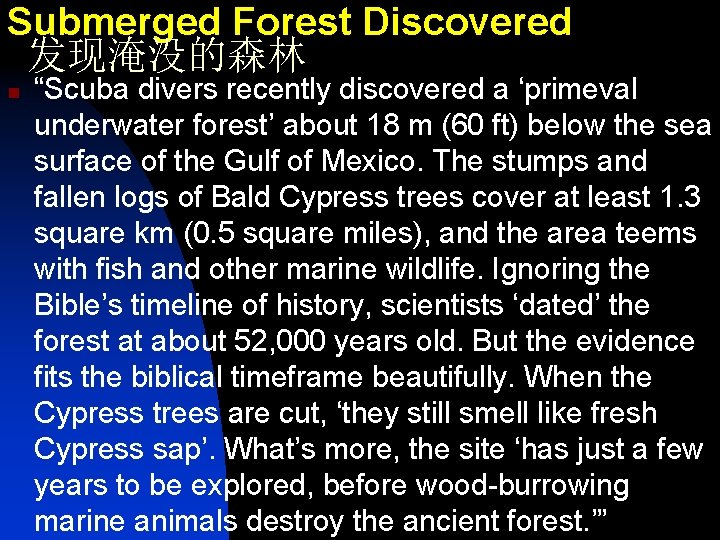 Submerged Forest Discovered 发现淹没的森林 n “Scuba divers recently discovered a ‘primeval underwater forest’ about