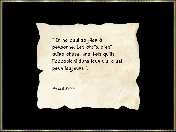  « On ne peut se fier à personne. Les chats, c'est autre chose.