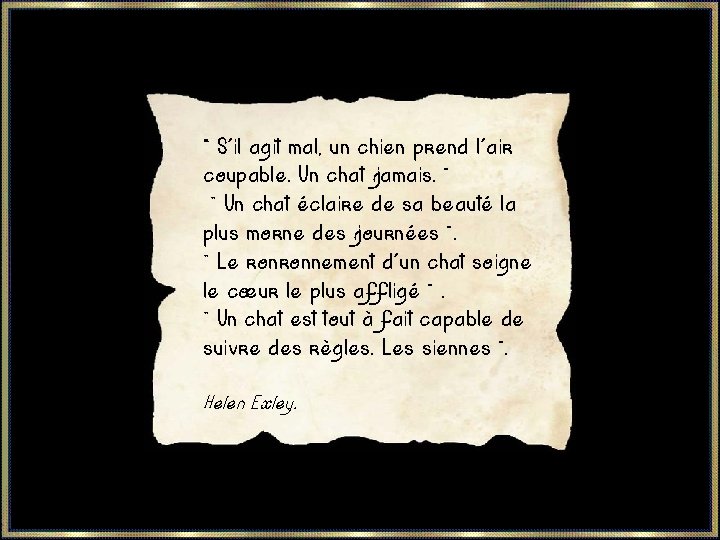  « S'il agit mal, un chien prend l'air coupable. Un chat jamais. »