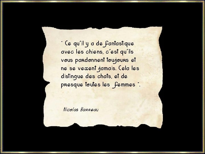  « Ce qu'il y a de fantastique avec les chiens, c'est qu'ils vous