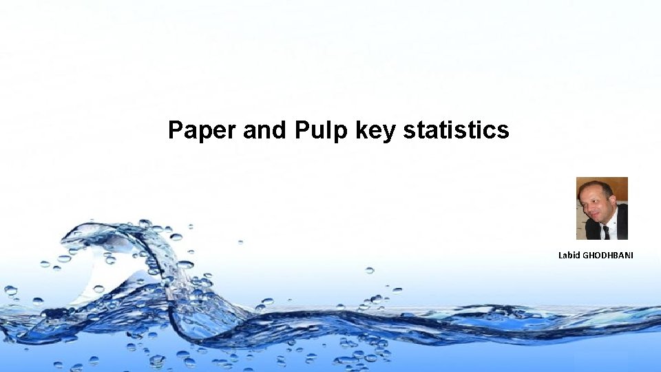 Paper and Pulp key statistics Labid GHODHBANI Page 1 