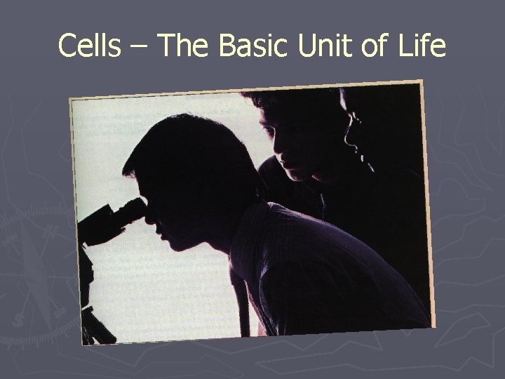 Cells – The Basic Unit of Life 