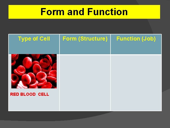 Form and Function Type of Cell RED BLOOD CELL Form (Structure) Function (Job) 