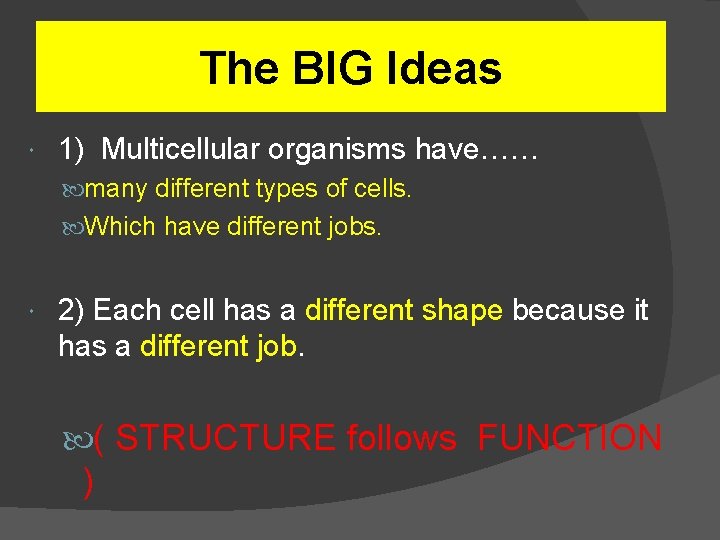The BIG Ideas 1) Multicellular organisms have…… many different types of cells. Which have