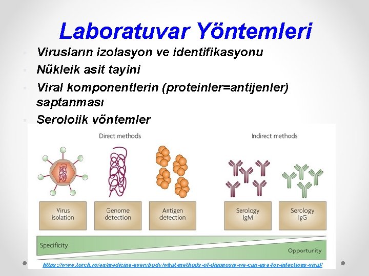 Laboratuvar Yöntemleri § § Virusların izolasyon ve identifikasyonu Nükleik asit tayini Viral komponentlerin (proteinler=antijenler)