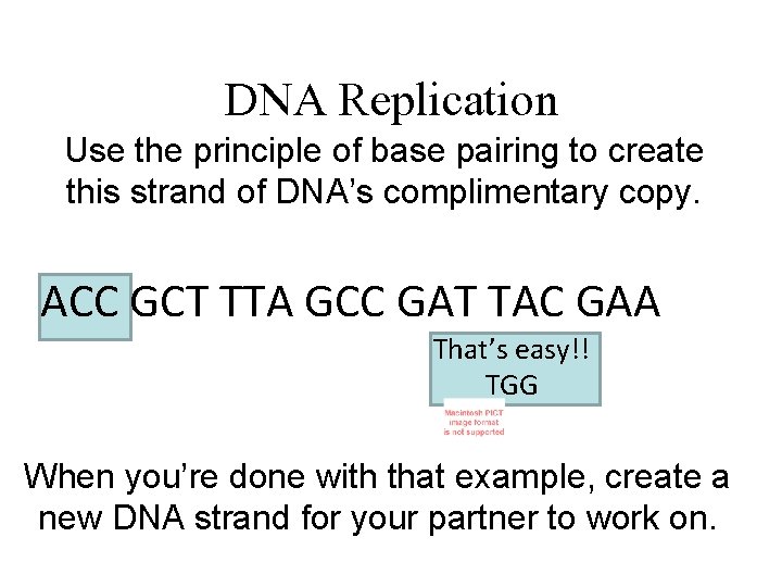 DNA Replication Use the principle of base pairing to create this strand of DNA’s
