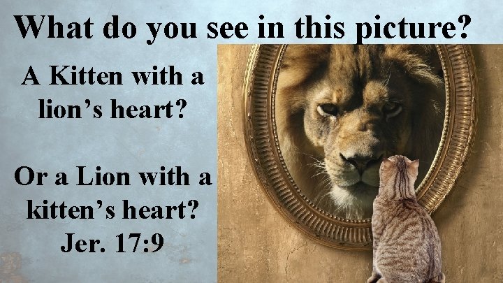 What do you see in this picture? A Kitten with a lion’s heart? Or