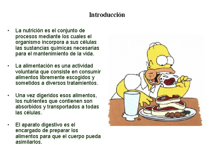 02 Introducción • La nutrición es el conjunto de procesos mediante los cuales el