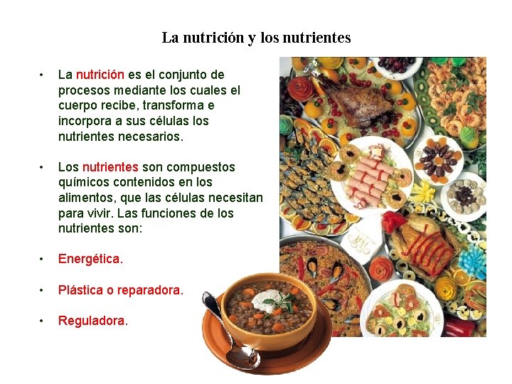 02 La nutrición y los nutrientes • La nutrición es el conjunto de procesos