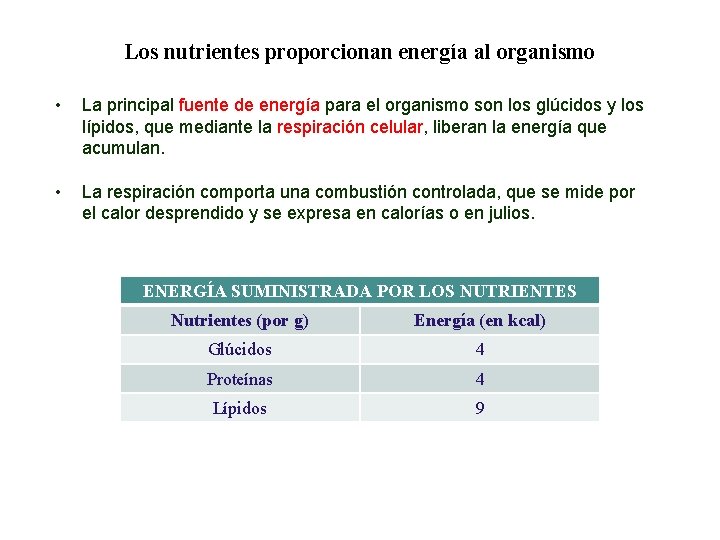 02 Los nutrientes proporcionan energía al organismo • La principal fuente de energía para