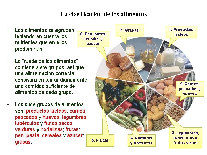 02 La clasificación de los alimentos • Los alimentos se agrupan teniendo en cuenta