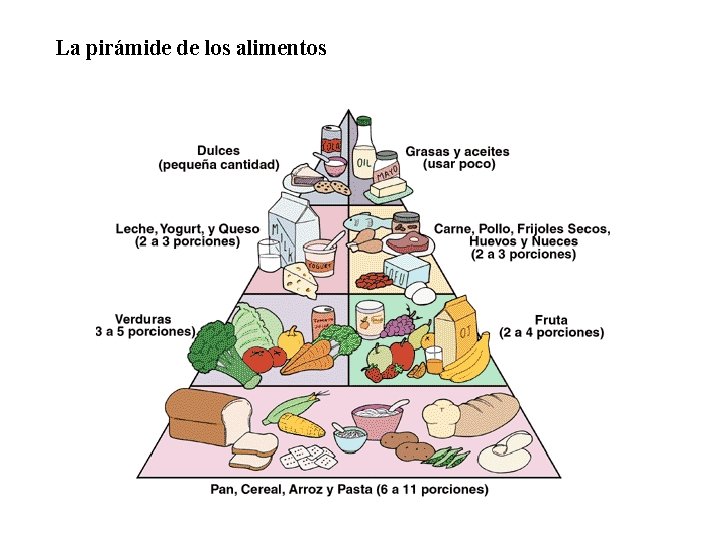 02 La pirámide de los alimentos 