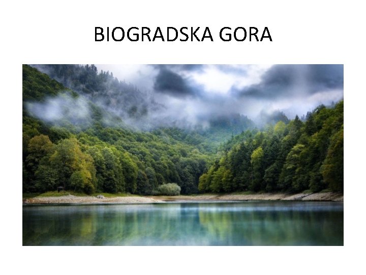 BIOGRADSKA GORA 