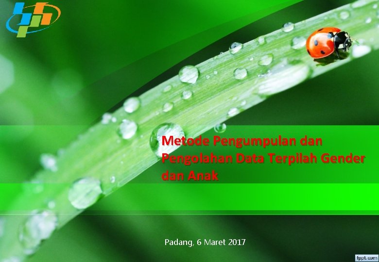 Metode Pengumpulan dan Pengolahan Data Terpilah Gender dan Anak Padang, 6 Maret 2017 