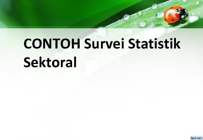 CONTOH Survei Statistik Sektoral 