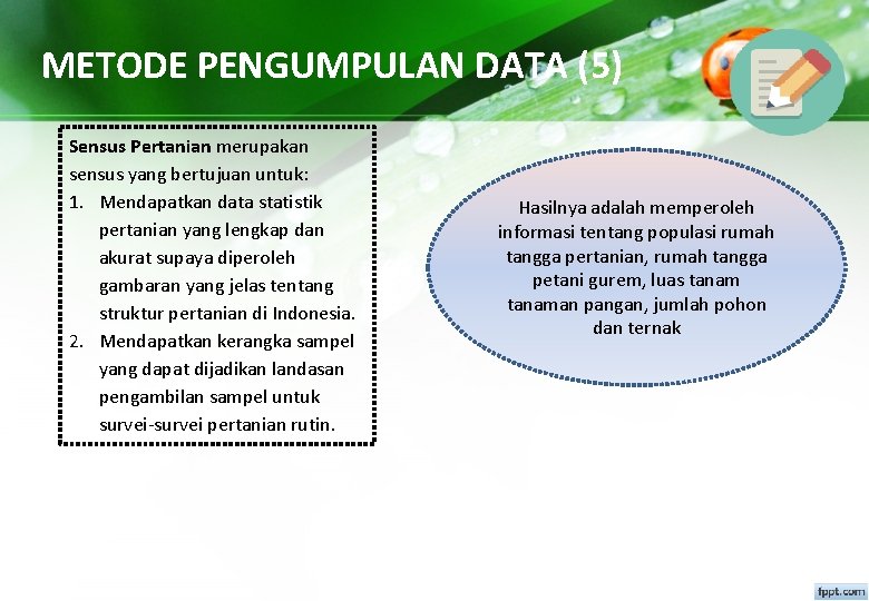 METODE PENGUMPULAN DATA (5) Sensus Pertanian merupakan sensus yang bertujuan untuk: 1. Mendapatkan data