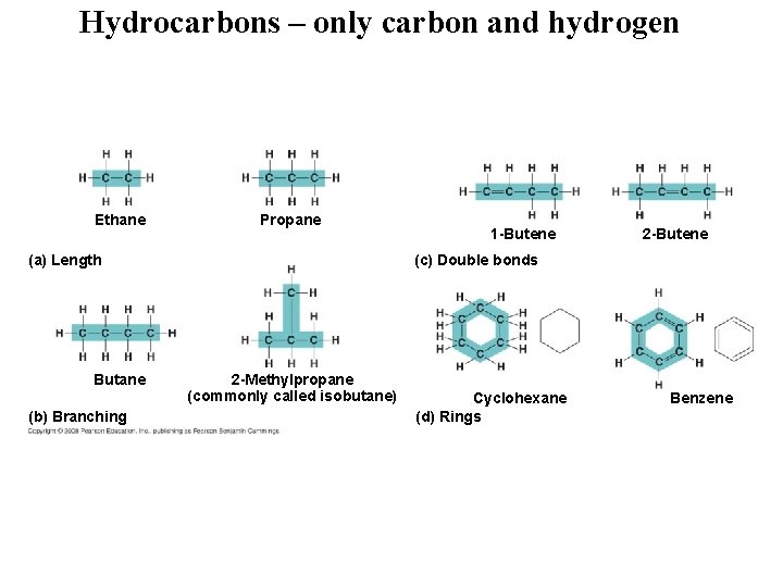 Hydrocarbons – only carbon and hydrogen Ethane Propane (a) Length Butane (b) Branching 1