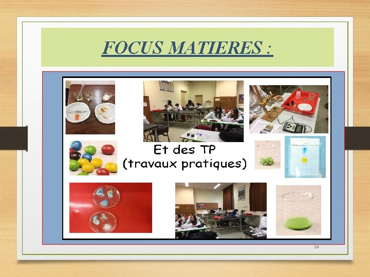 FOCUS MATIERES : 19 