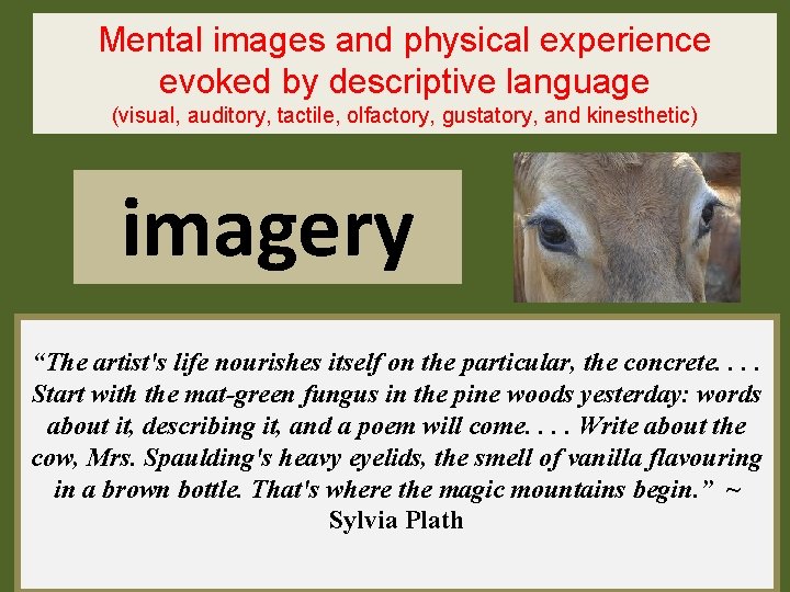 Mental images and physical experience evoked by descriptive language (visual, auditory, tactile, olfactory, gustatory,