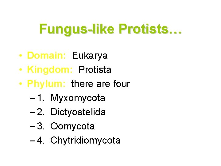 Fungus-like Protists… • Domain: Eukarya • Kingdom: Protista • Phylum: there are four –