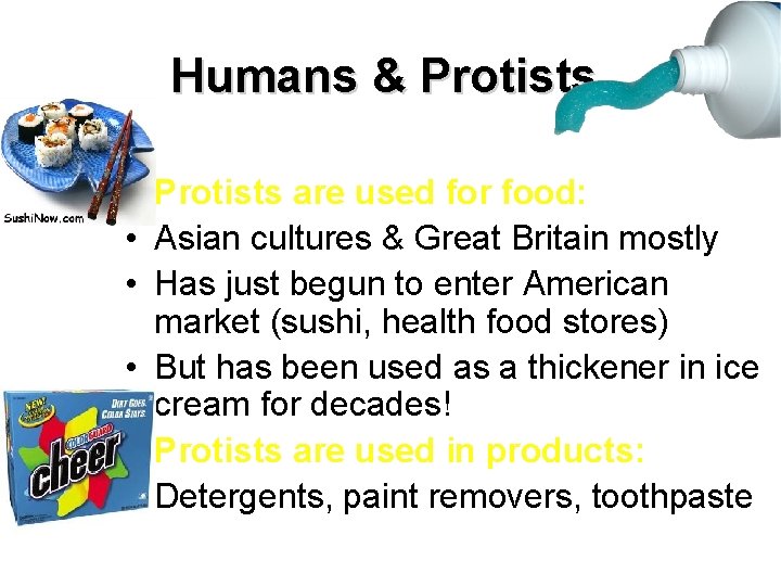 Humans & Protists • Protists are used for food: • Asian cultures & Great